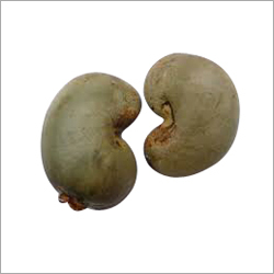 कच्चे काजू