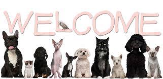 झारखंड में पशु चिकित्सा फार्माक्यूटिकल पीसीडी सेवा