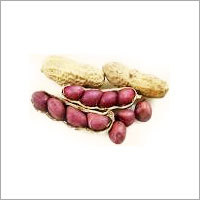 Ground Nuts
