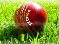 Cricket Ball