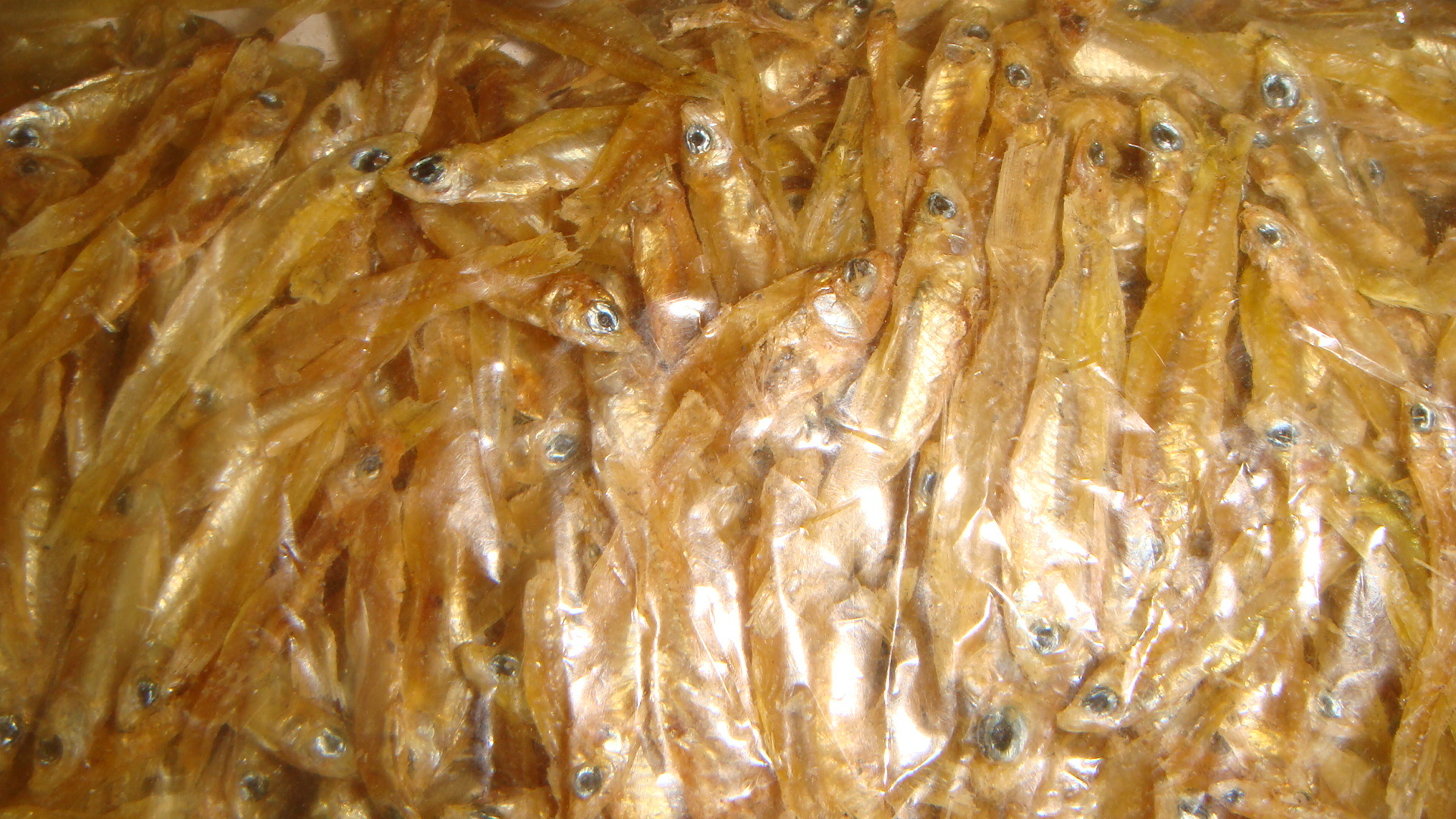 Khiski - Dried Anchovy, Clean Drying, Fresh Dried, Brown Color, Long Shelf Life, High Quality, Rich Flavor, Bulk Packaging, Variable Size