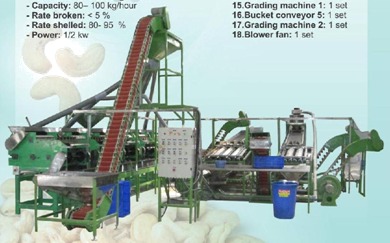 Fully Automatic Cashew Processing Machines