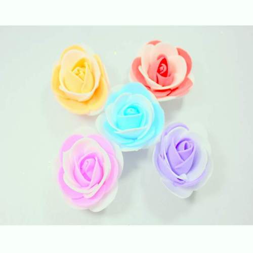 एवा रोज़