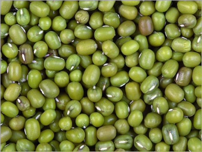 हरी चना