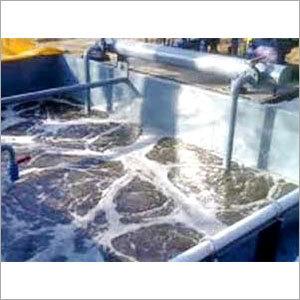 Industrial Sewage Treatment Plants