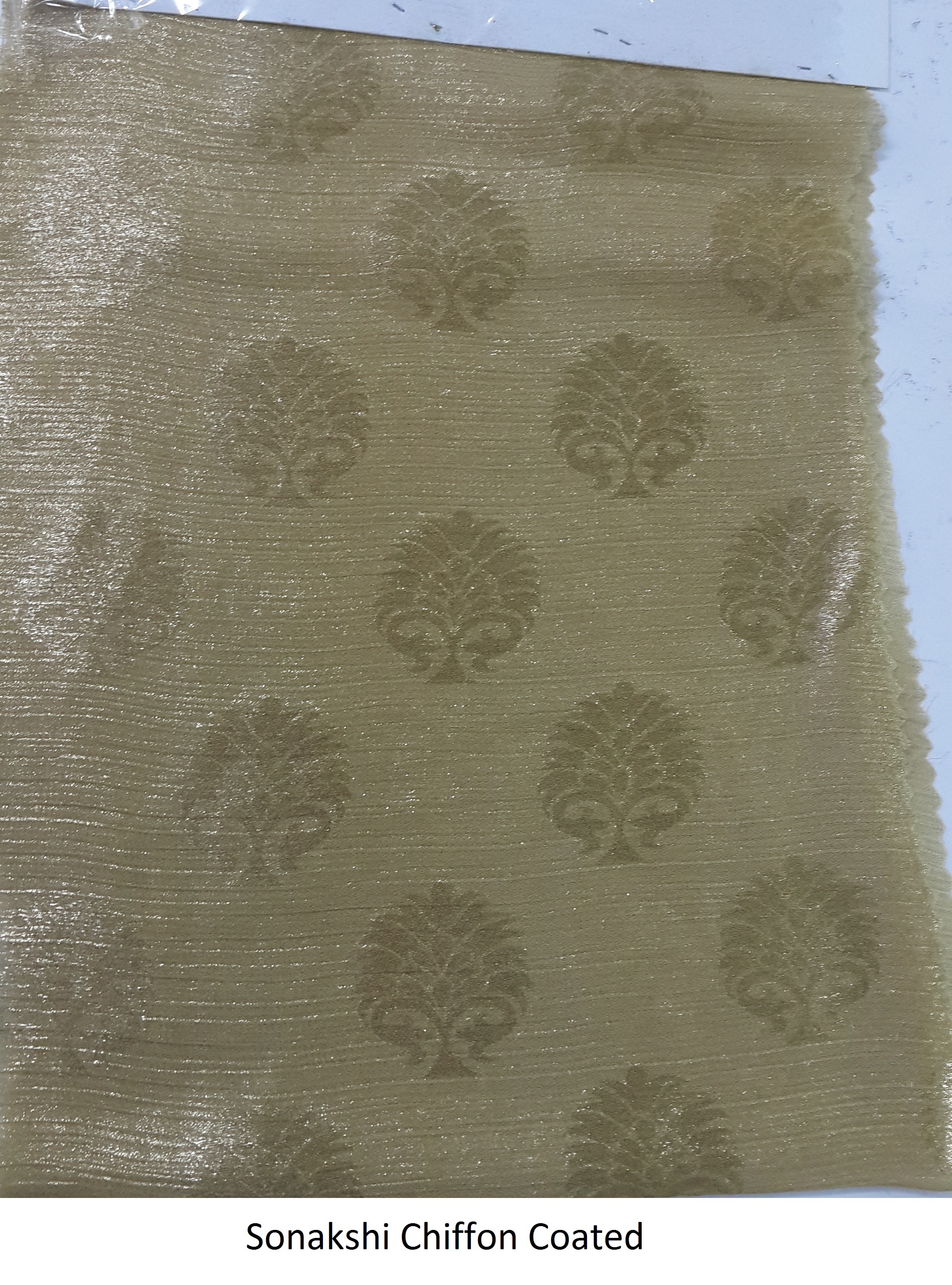 Sonakshi Chiffon Coated