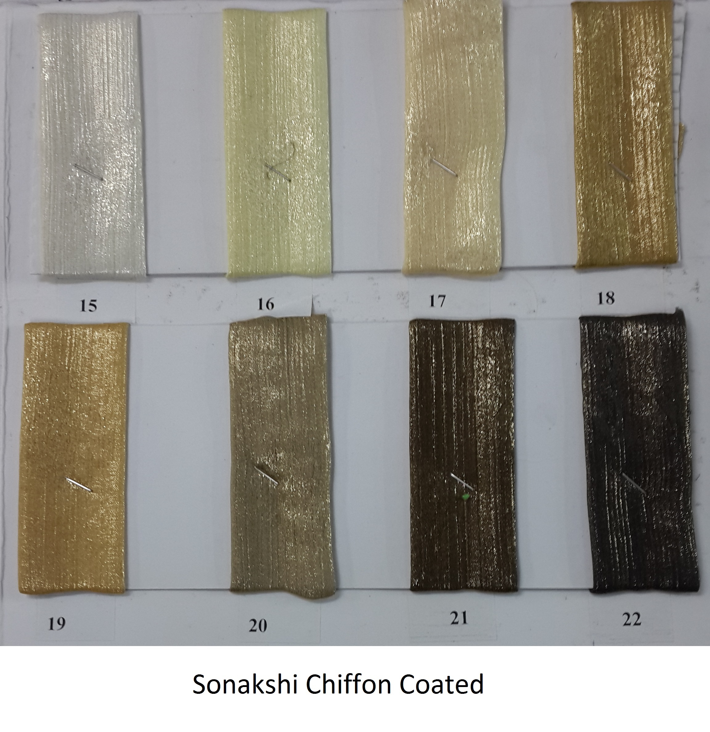 Sonakshi Chiffon Coated