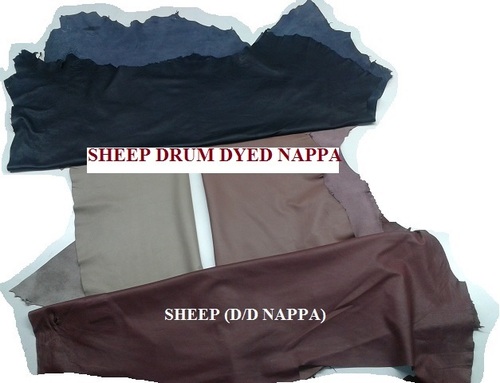 भेड़ का ड्रम रंगा नप्पा लेदर