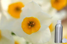 नार्सिसस अत्तर आयु वर्ग: वयस्क