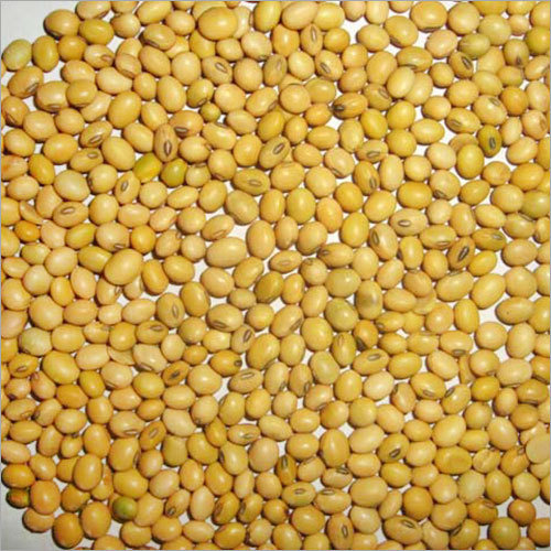 Soybean Seeds