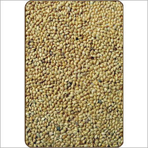 Yellow Millet