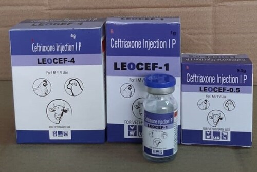 Ceftriaxone Injection - Sterile Powder Formulation, Broad-Spectrum Antibiotic for Injection