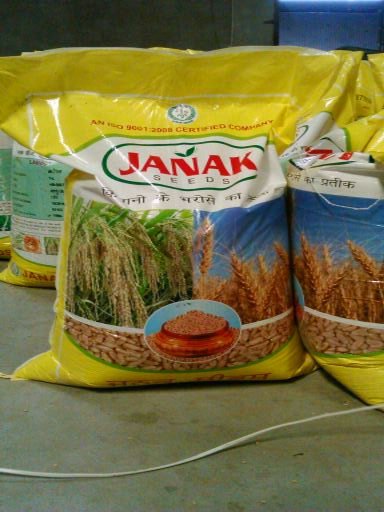 HD 2967 Wheat Seed