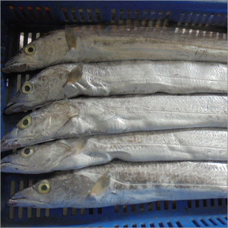 Dried Frozen Sea Foods