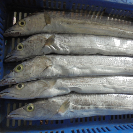 Marine Frozen Sea Foods