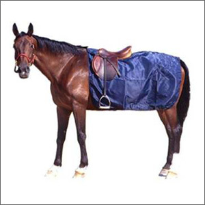 घोड़े के व्यायाम का चादर
