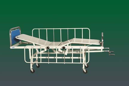 अस्पताल का फ़्लॉवर बेड