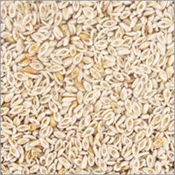 सैलियम भूसी