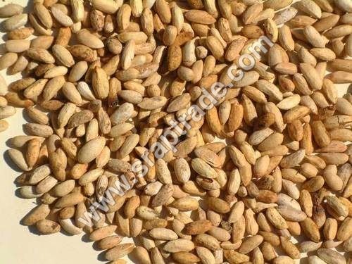 Brown Neem Seed