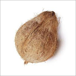 सेमी हस्कड ताजा नारियल