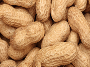 Peanuts Shell