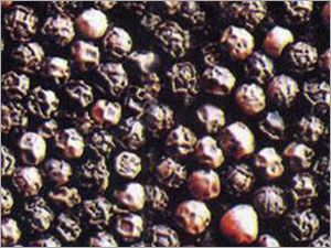 Black Pepper