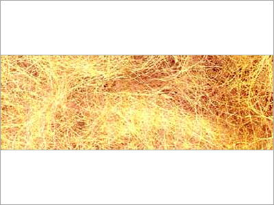 Coir Golden Fiber