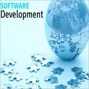 Business Software Development Services