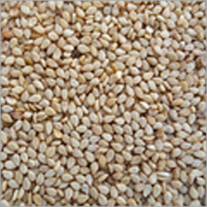 Hulled Sesame Seed
