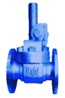 Golden Bajaj Cast Steel Parallel  Slide Blow Off Valve Ibr