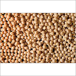 काबुली चने के बीज