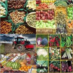 ताजा सब्जियाँ