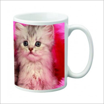 मस्त बिल्ली के कप