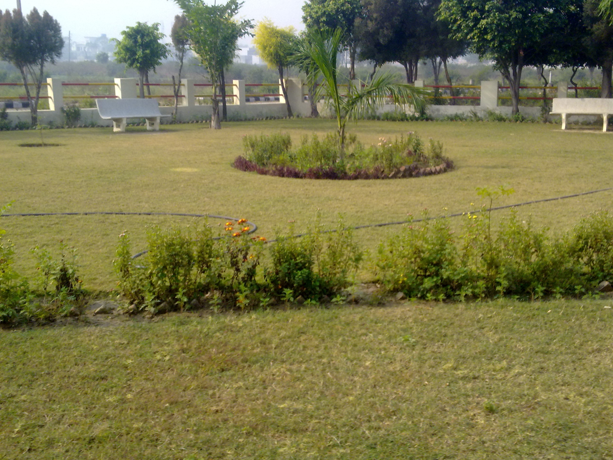 Real Estate Development Services