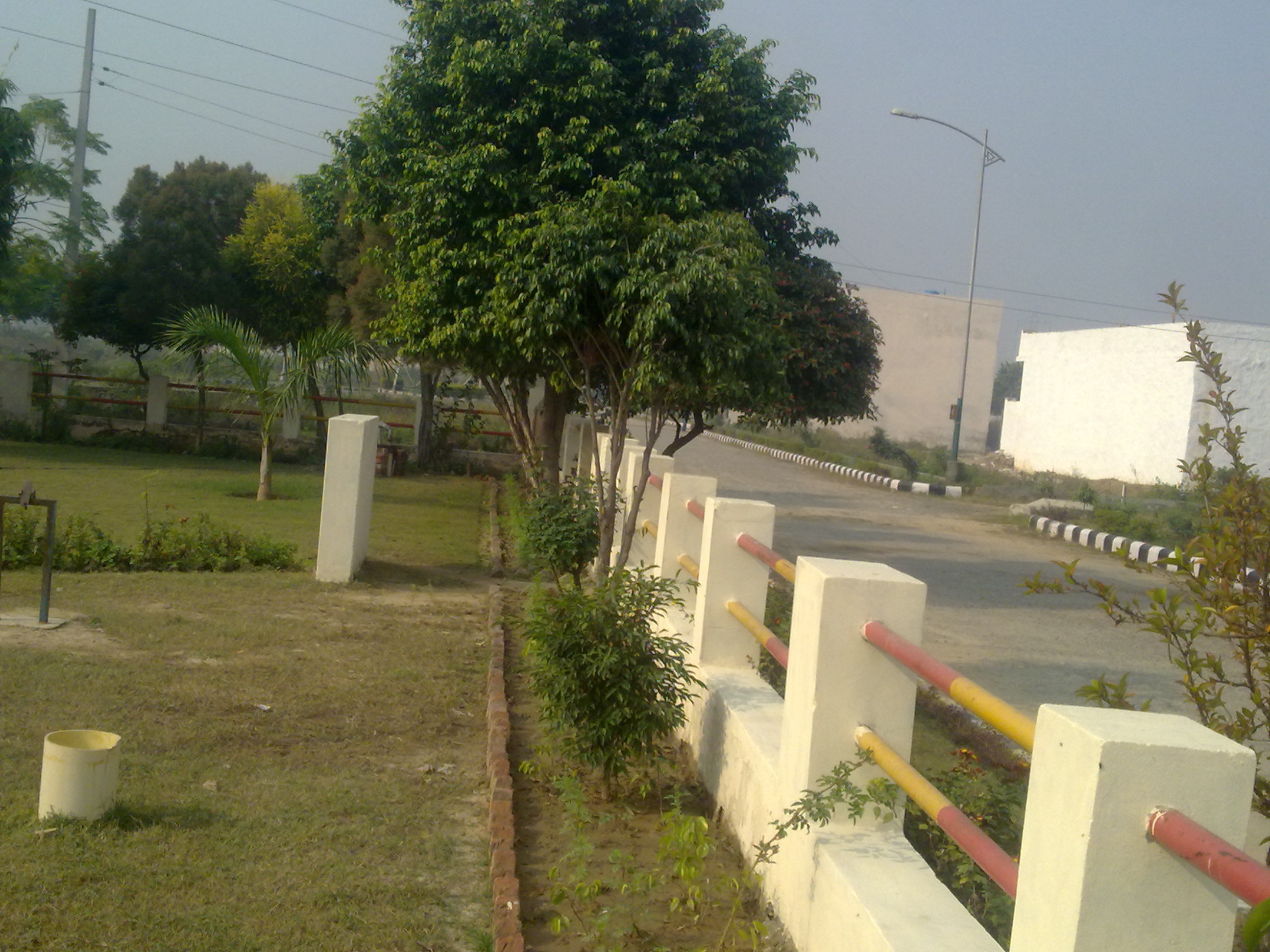 Real Estate Development Services