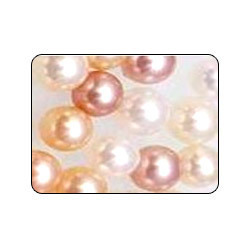  Interference Series Pigment (Two Tone Pearl )