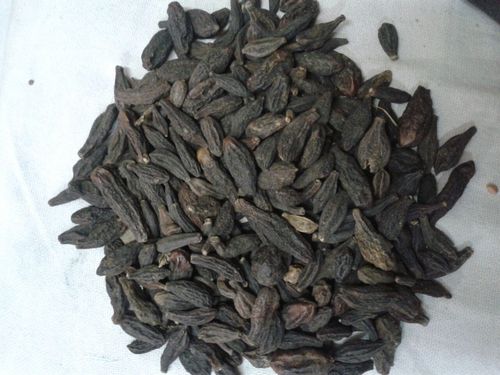 काळी हरर