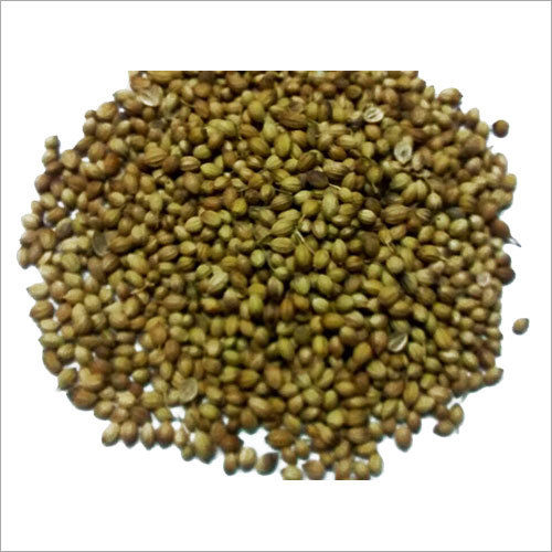 Coriander Seed