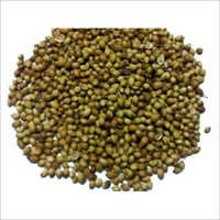 धनिये के बीज