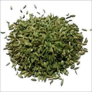 Fennel Seed