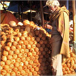 सूखे नारियल