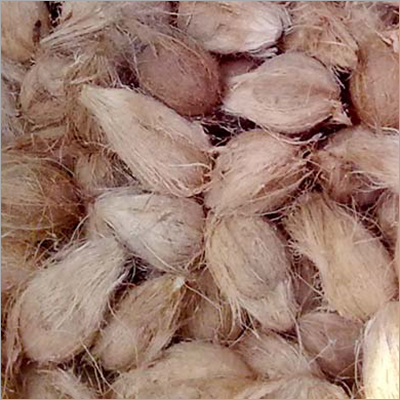 नारियल