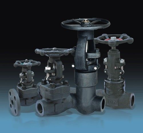 Industrial Forged Steel Valve