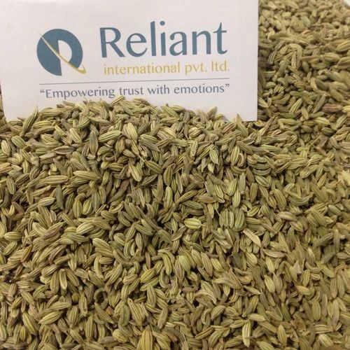 Fennel Seeds