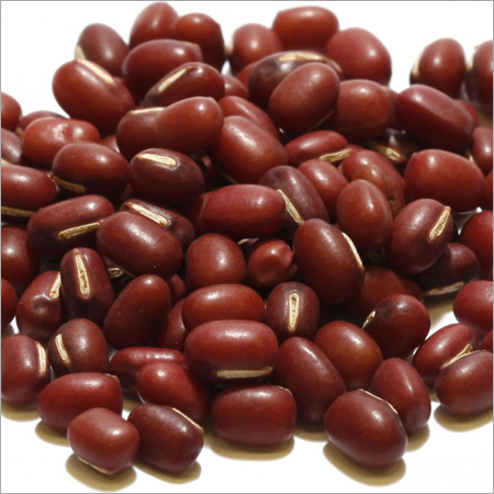 लाल सेम