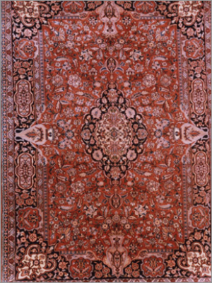 M.Kashan कालीन
