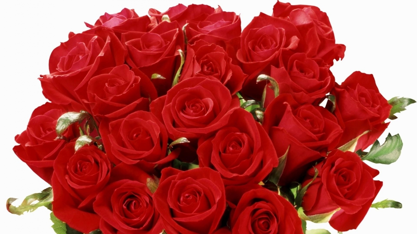 Red Roses