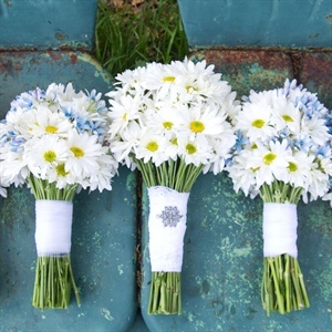 White Daisy