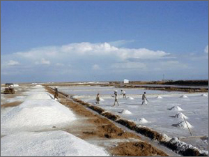 Solar Salt