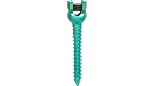 Silver And Green Single Lock Monoaxial Screw